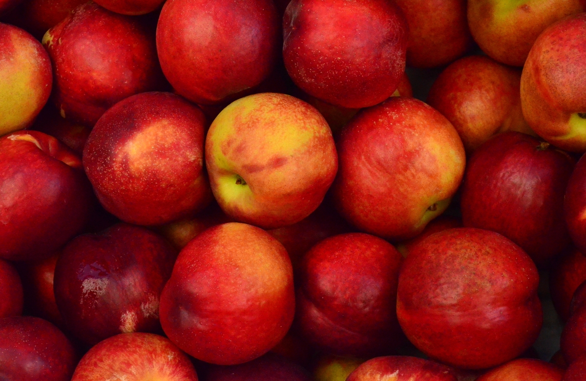 Aerial view of a large cluster of red, crisp apples